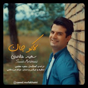 دانلود آهنگ سعید مفخمی لاکوجان