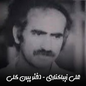 دانلود آهنگ علی زیبا کناری دختر پیرهن گلی